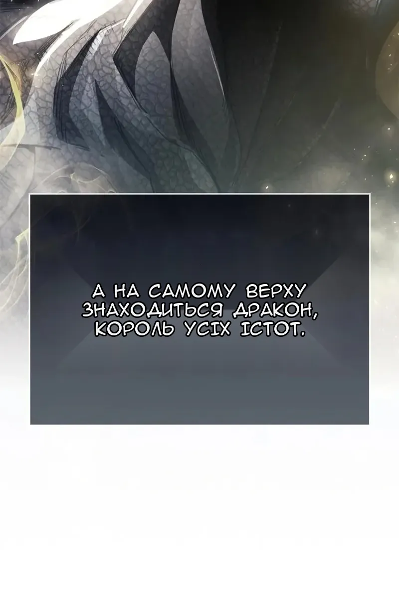 Сторінка 78
