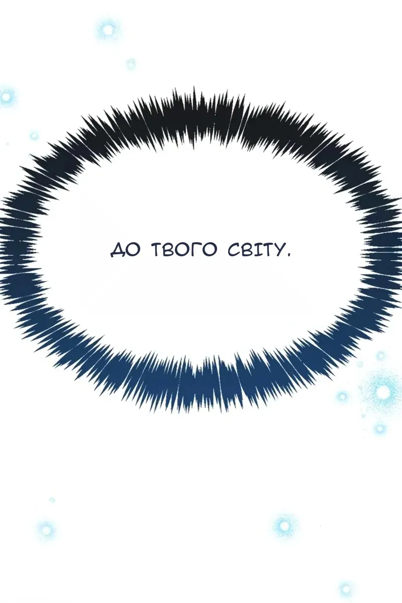 Сторінка 113