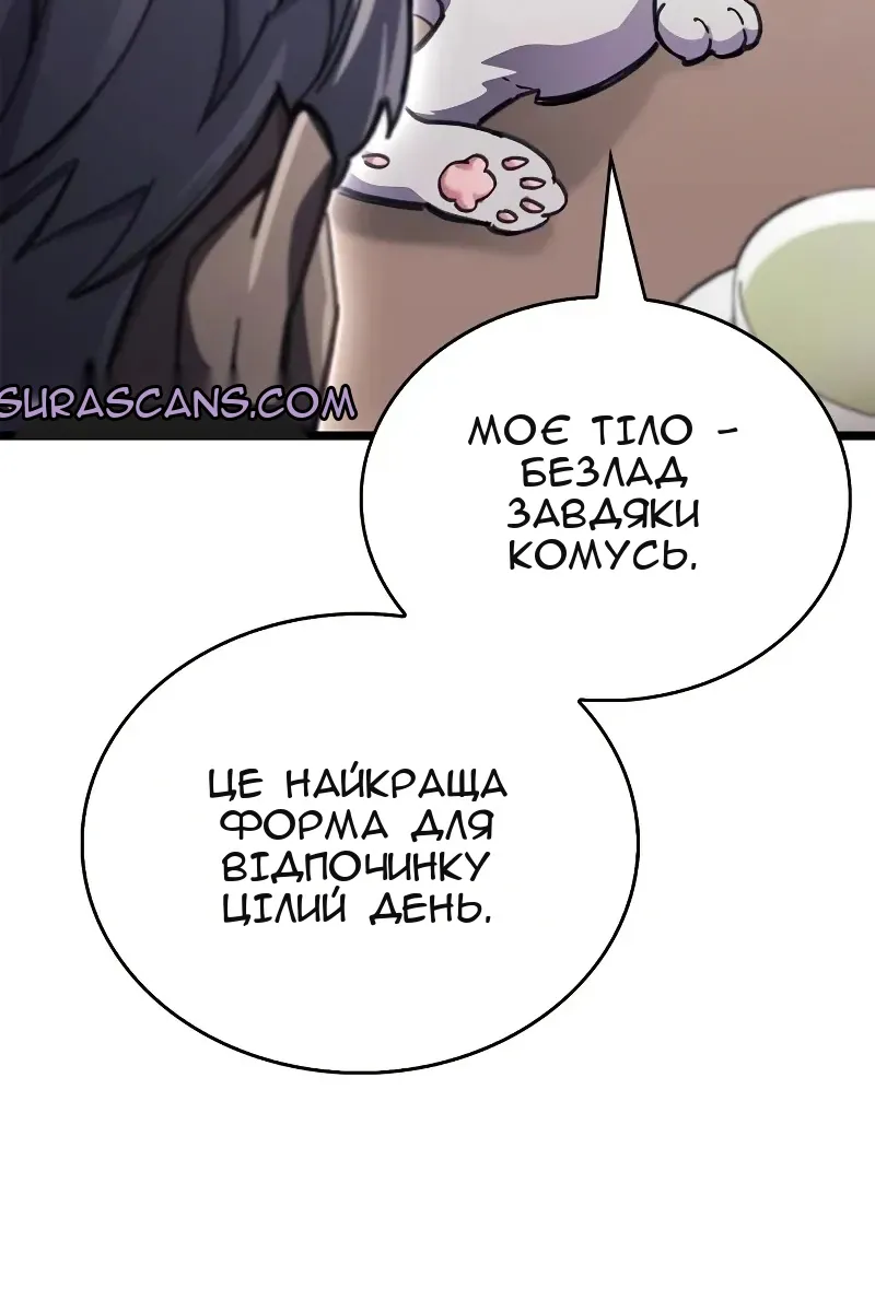 Сторінка 29