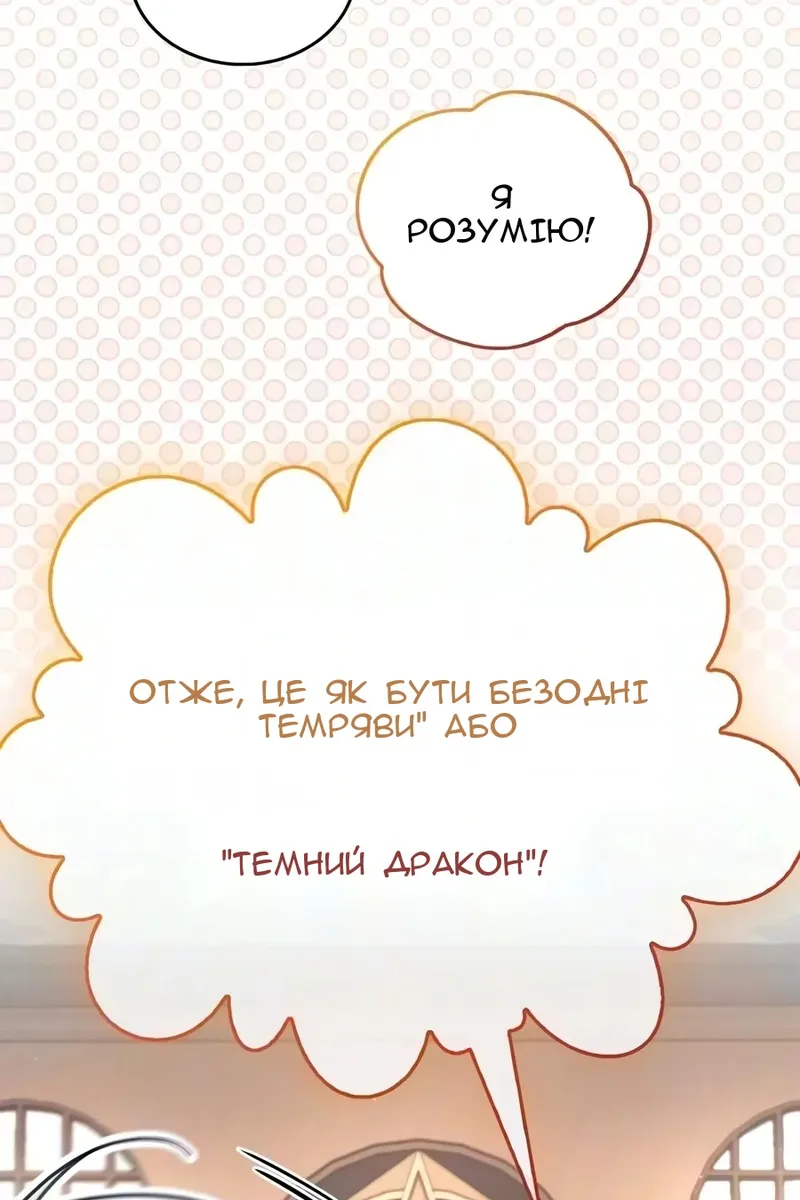 Сторінка 17