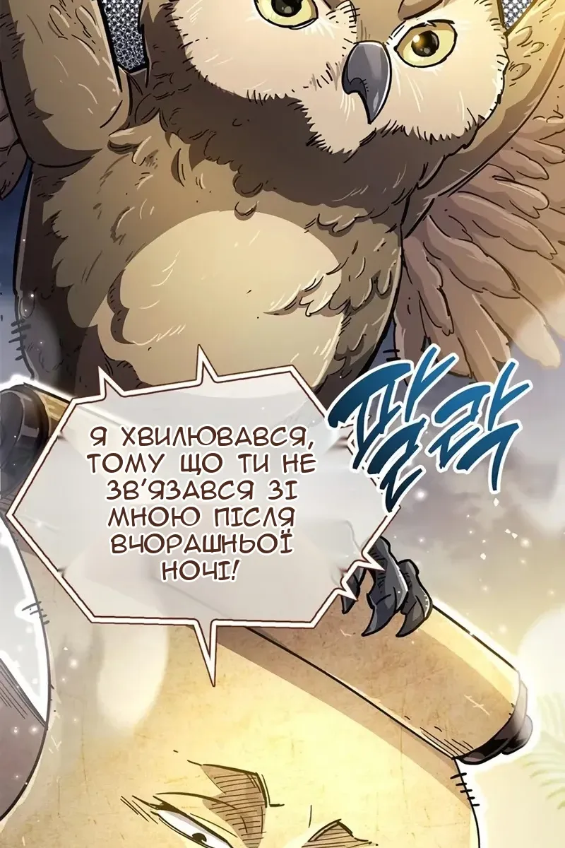 Сторінка 11