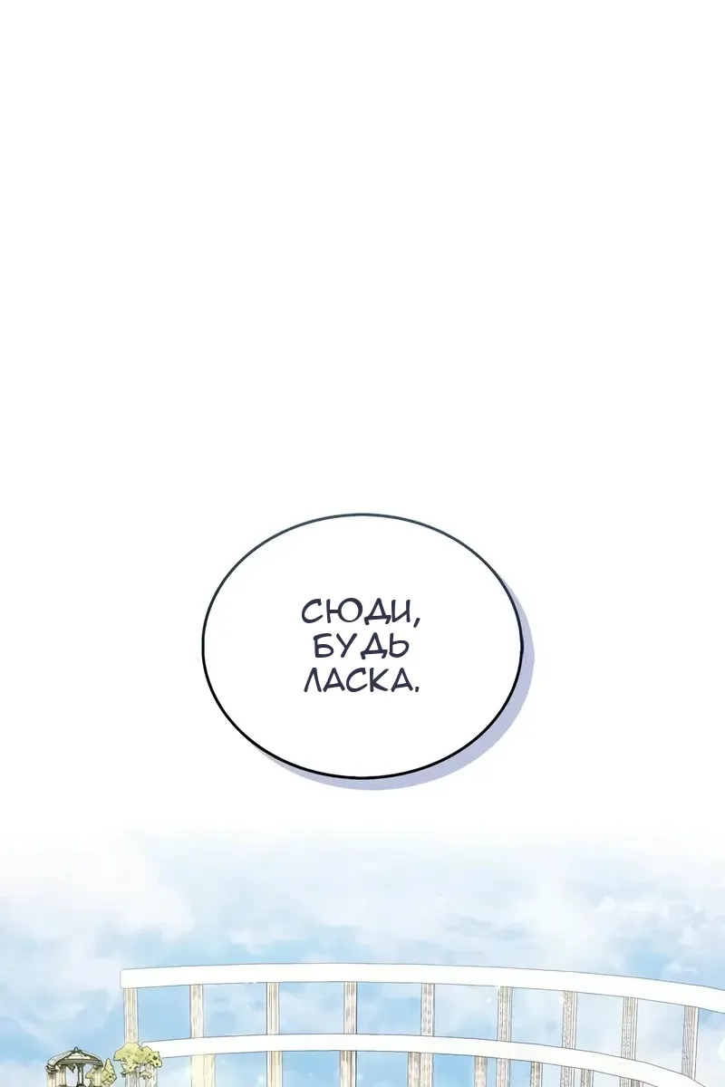 Сторінка 29
