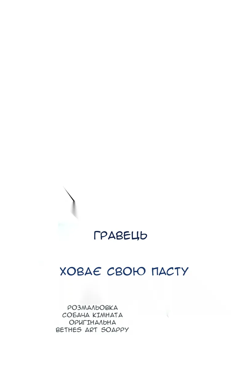 Сторінка 17