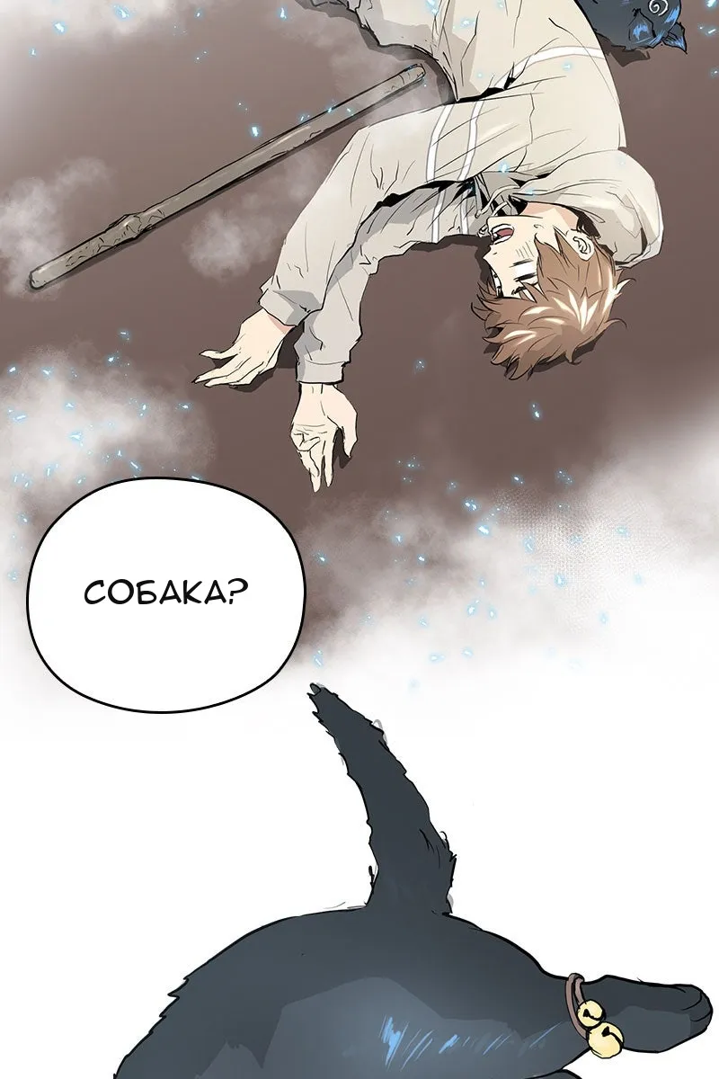 Сторінка 157