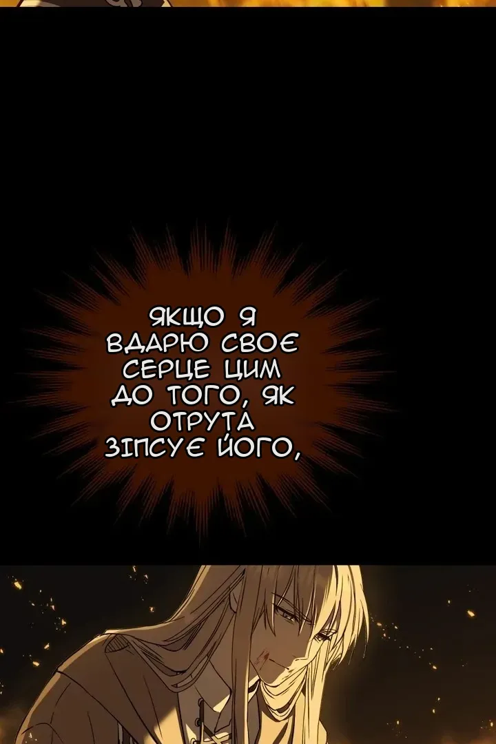 Сторінка 41