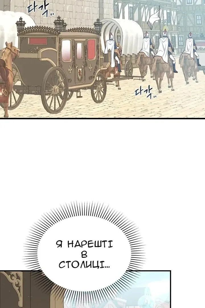 Сторінка 6