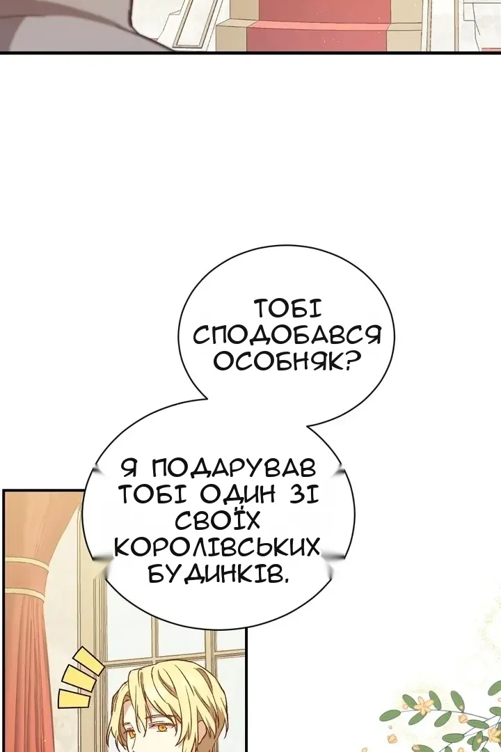 Сторінка 17