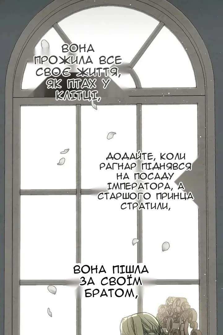 Сторінка 41