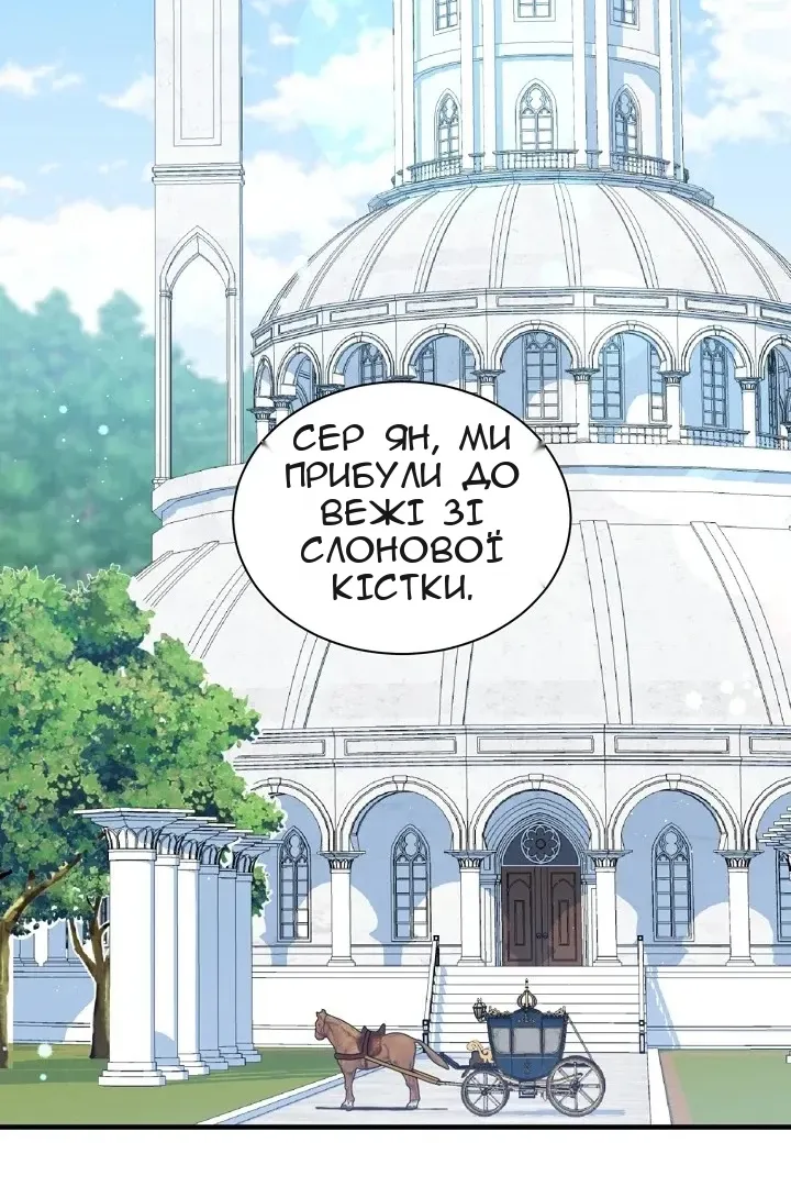 Сторінка 17