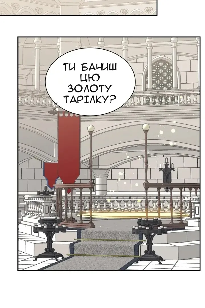 Сторінка 29