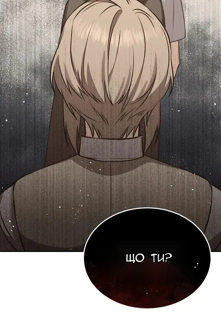 Сторінка 102