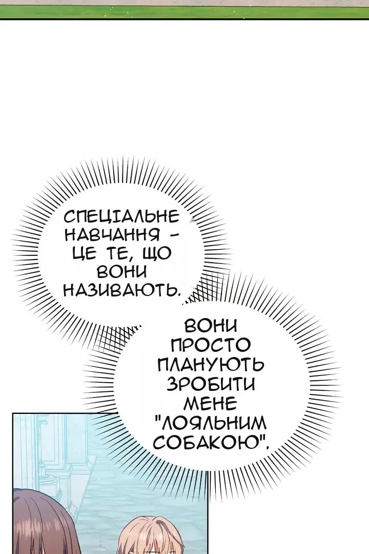Сторінка 51