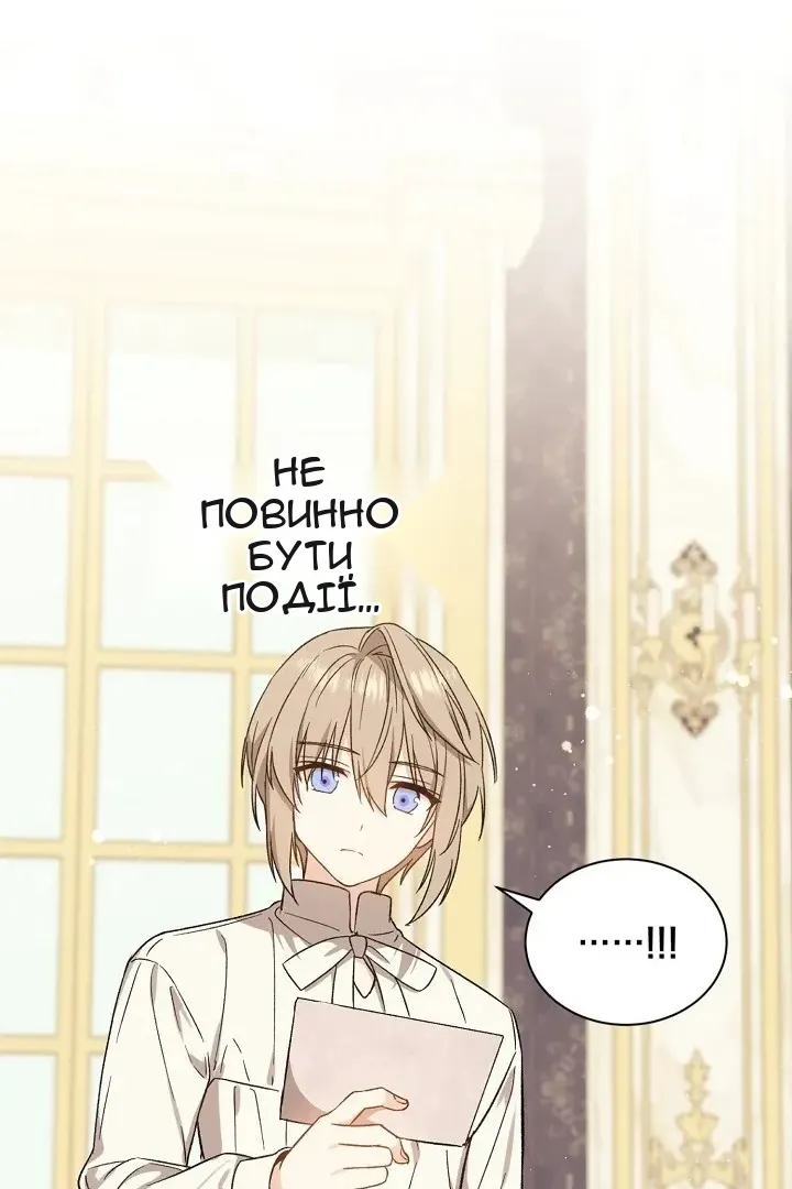 Сторінка 29