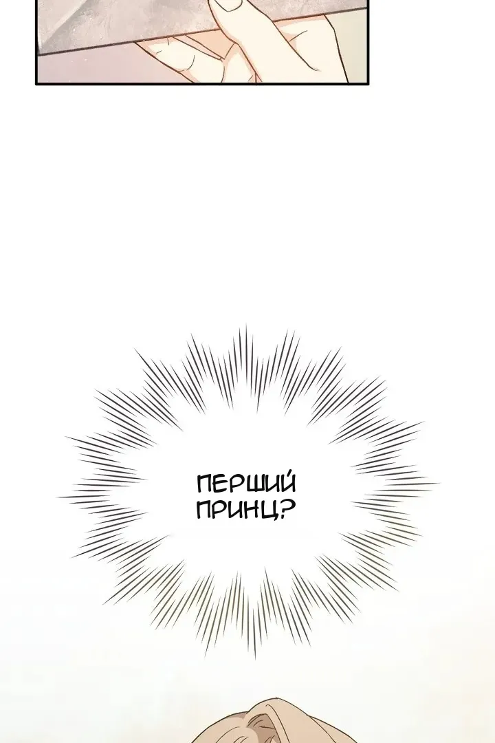 Сторінка 31