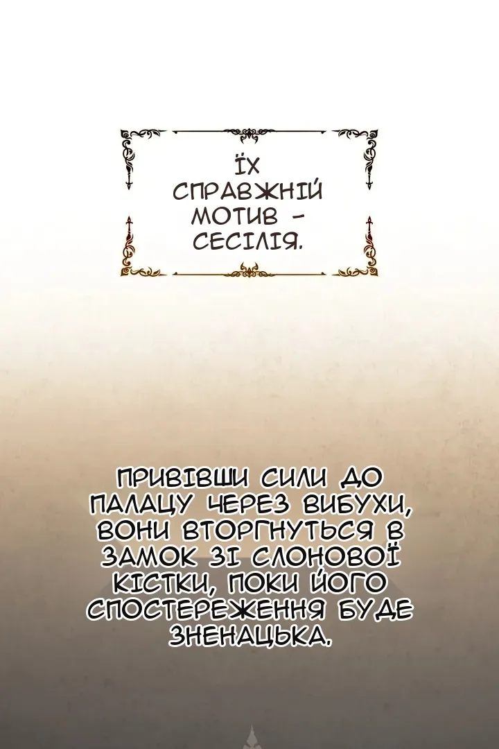 Сторінка 41
