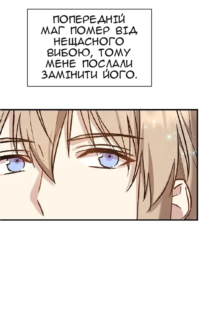 Сторінка 41