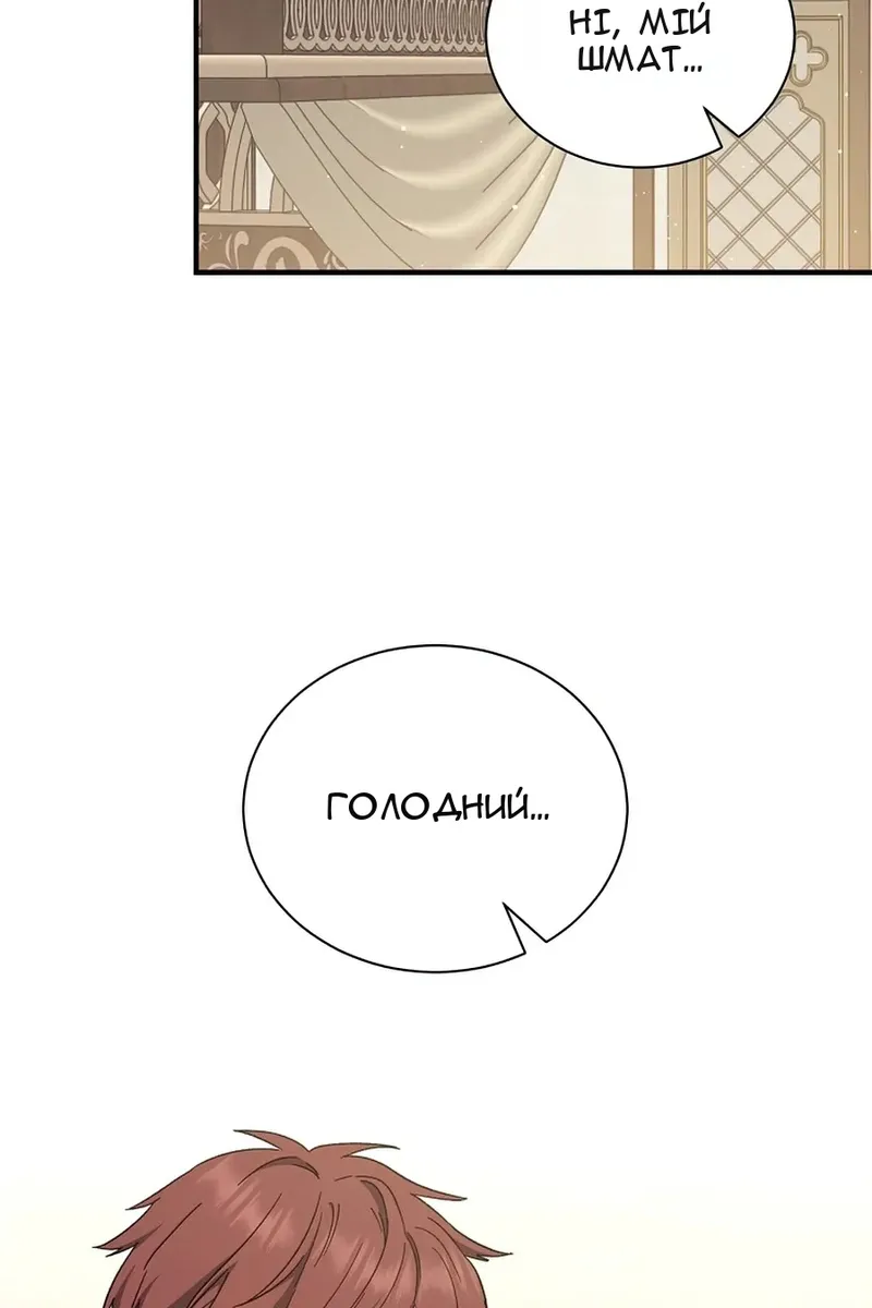 Сторінка 24