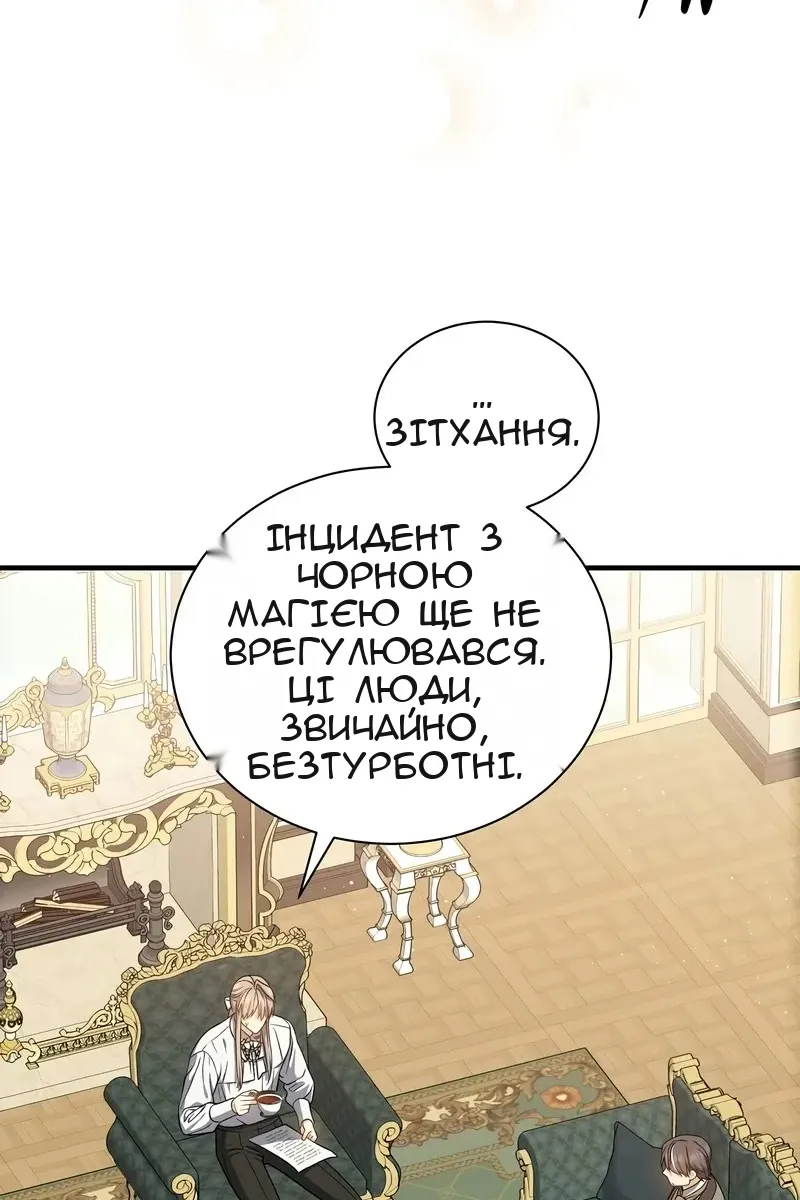 Сторінка 17