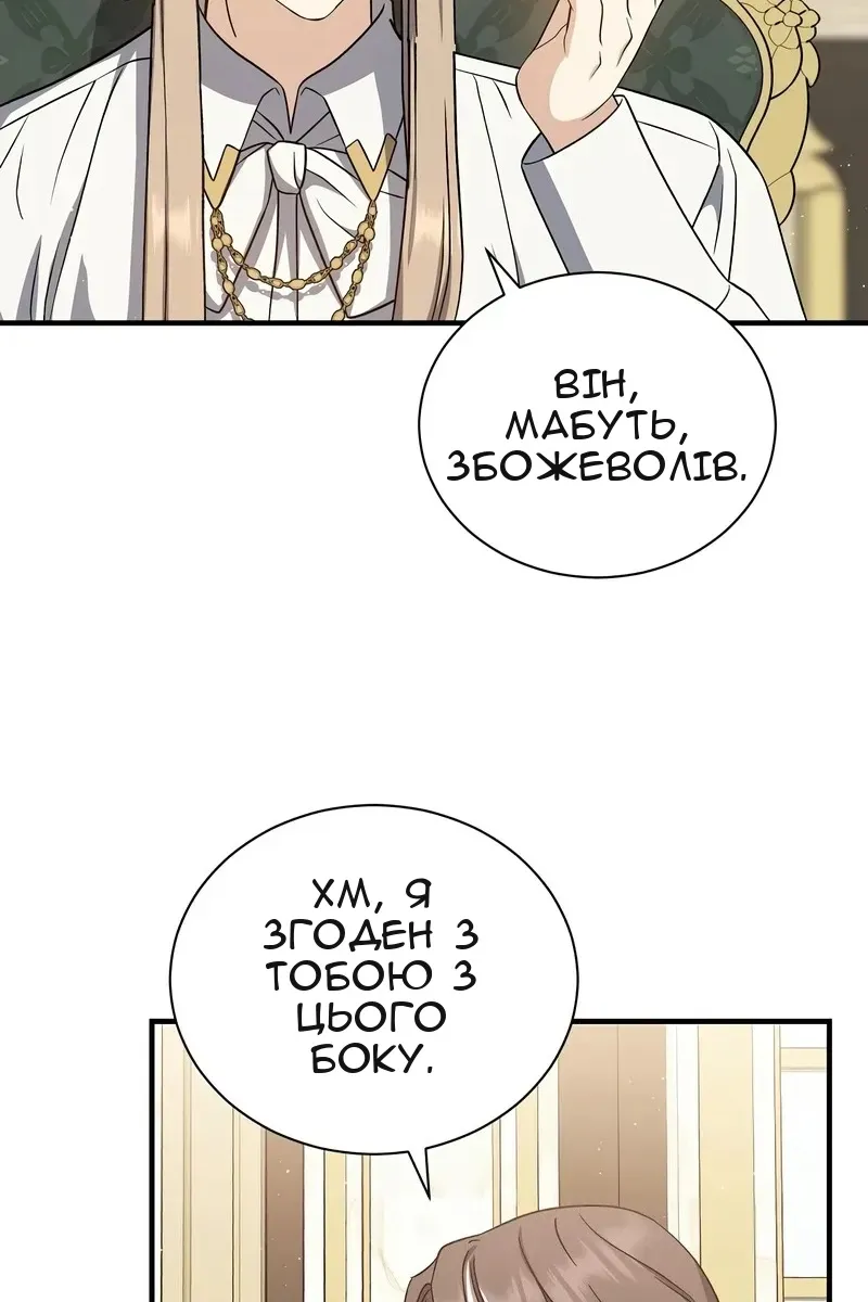 Сторінка 29