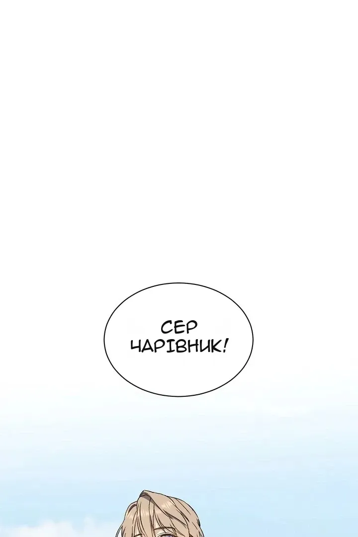 Сторінка 17