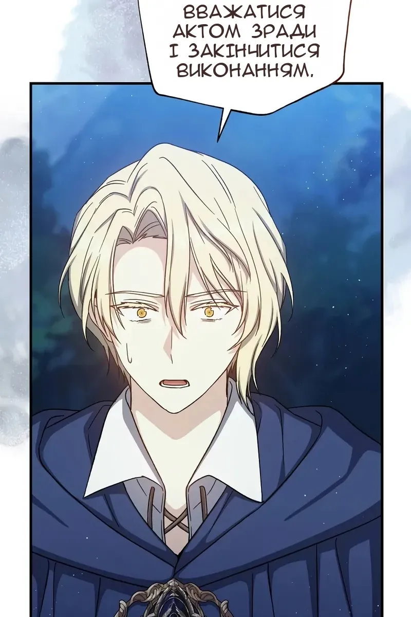 Сторінка 47