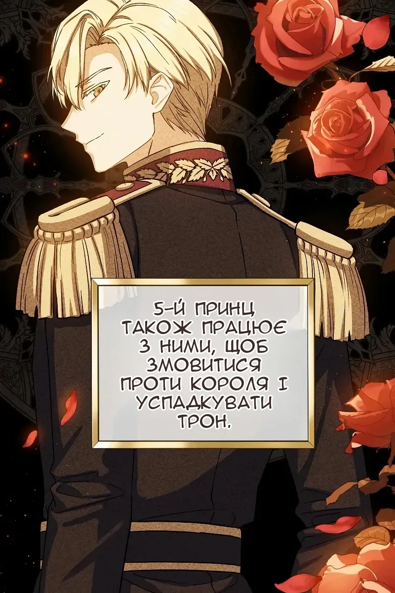 Сторінка 26