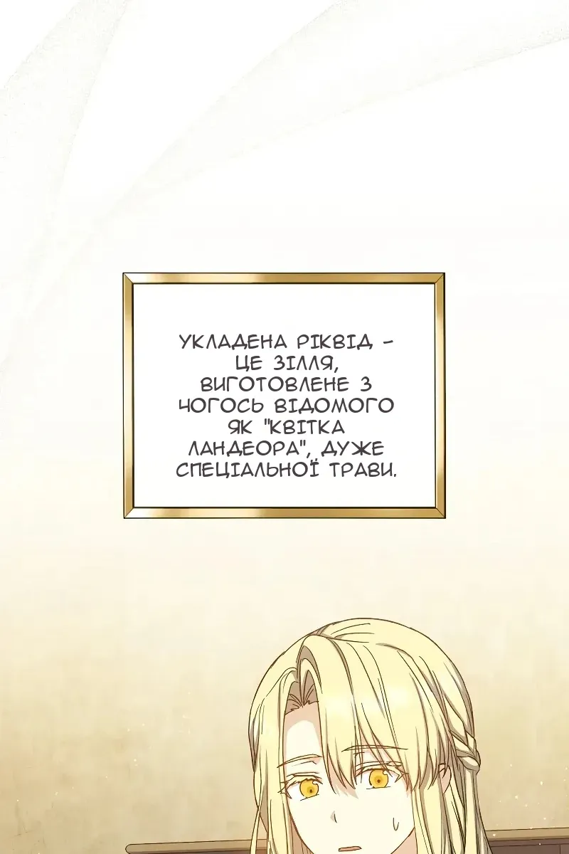 Сторінка 33