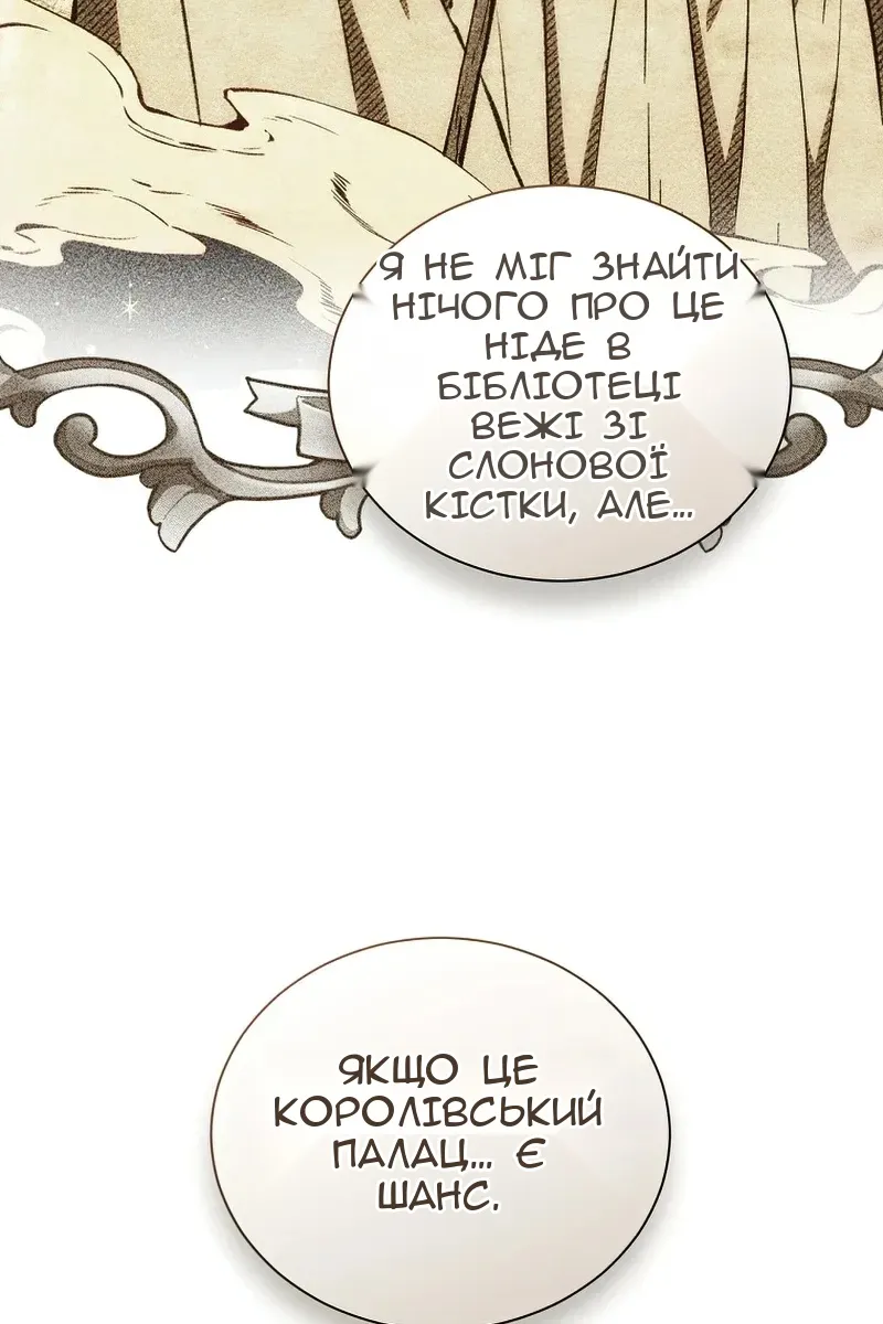 Сторінка 29