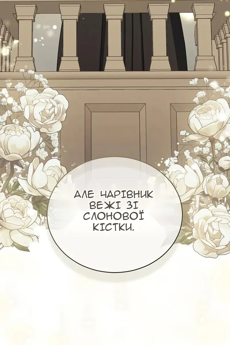 Сторінка 106