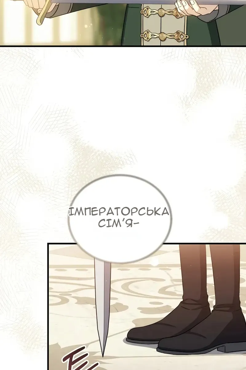 Сторінка 100