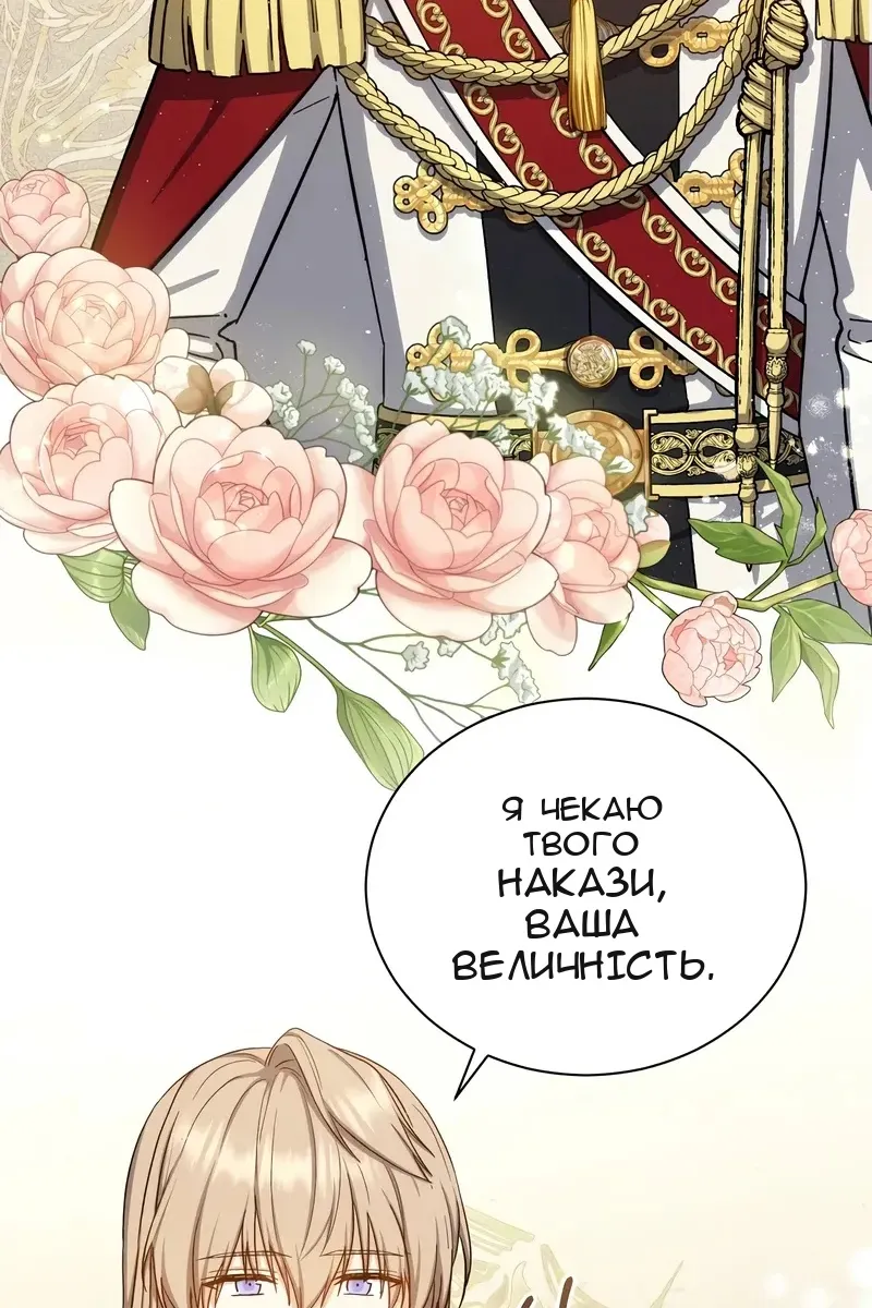 Сторінка 43