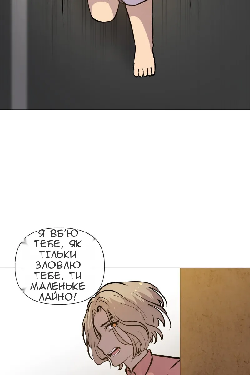 Сторінка 29