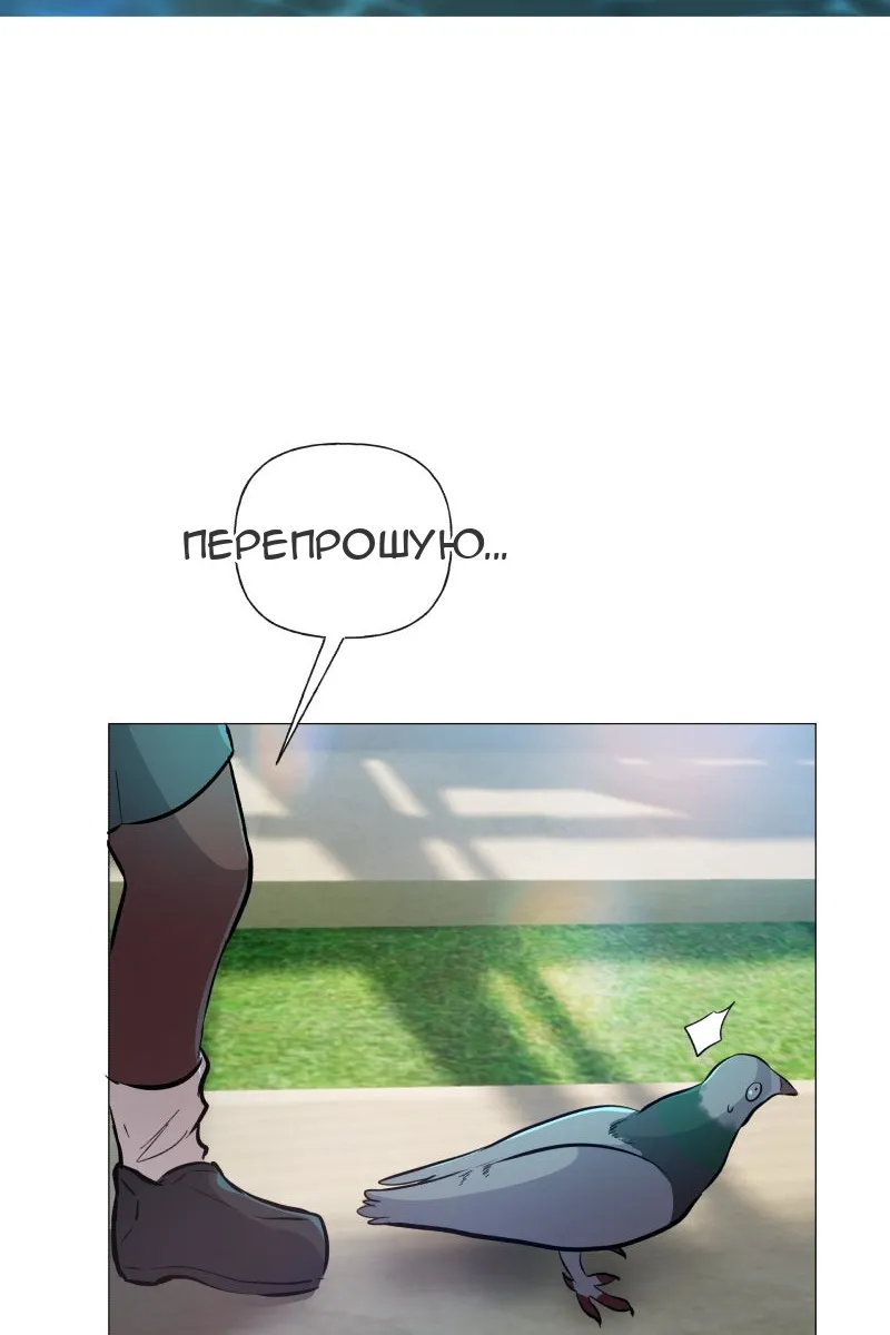 Сторінка 27