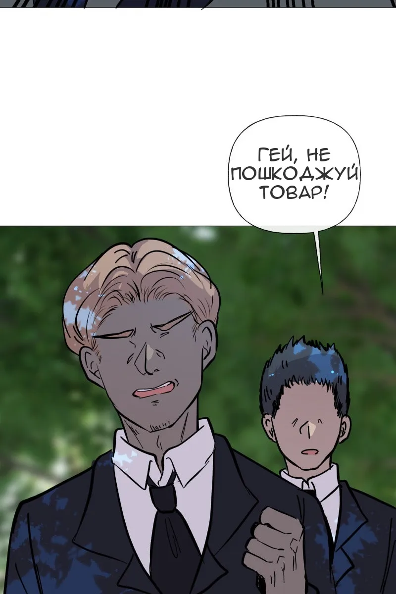 Сторінка 81