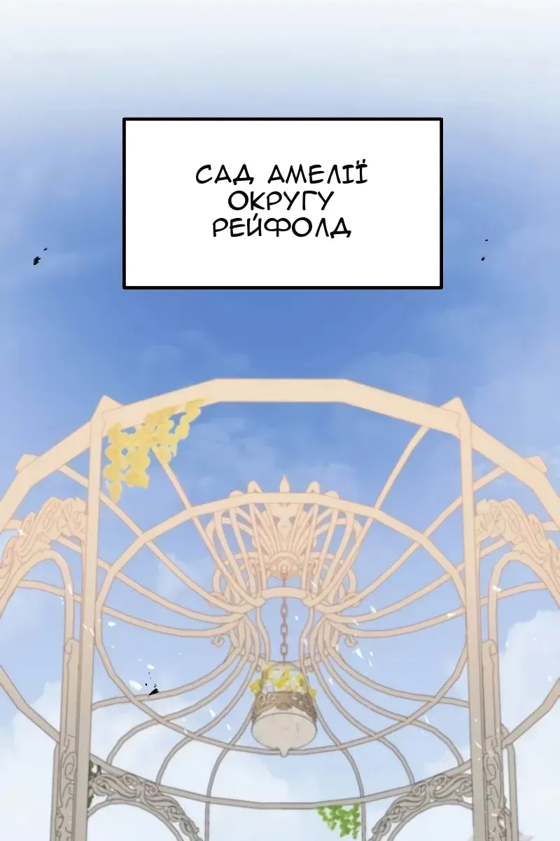 Сторінка 41
