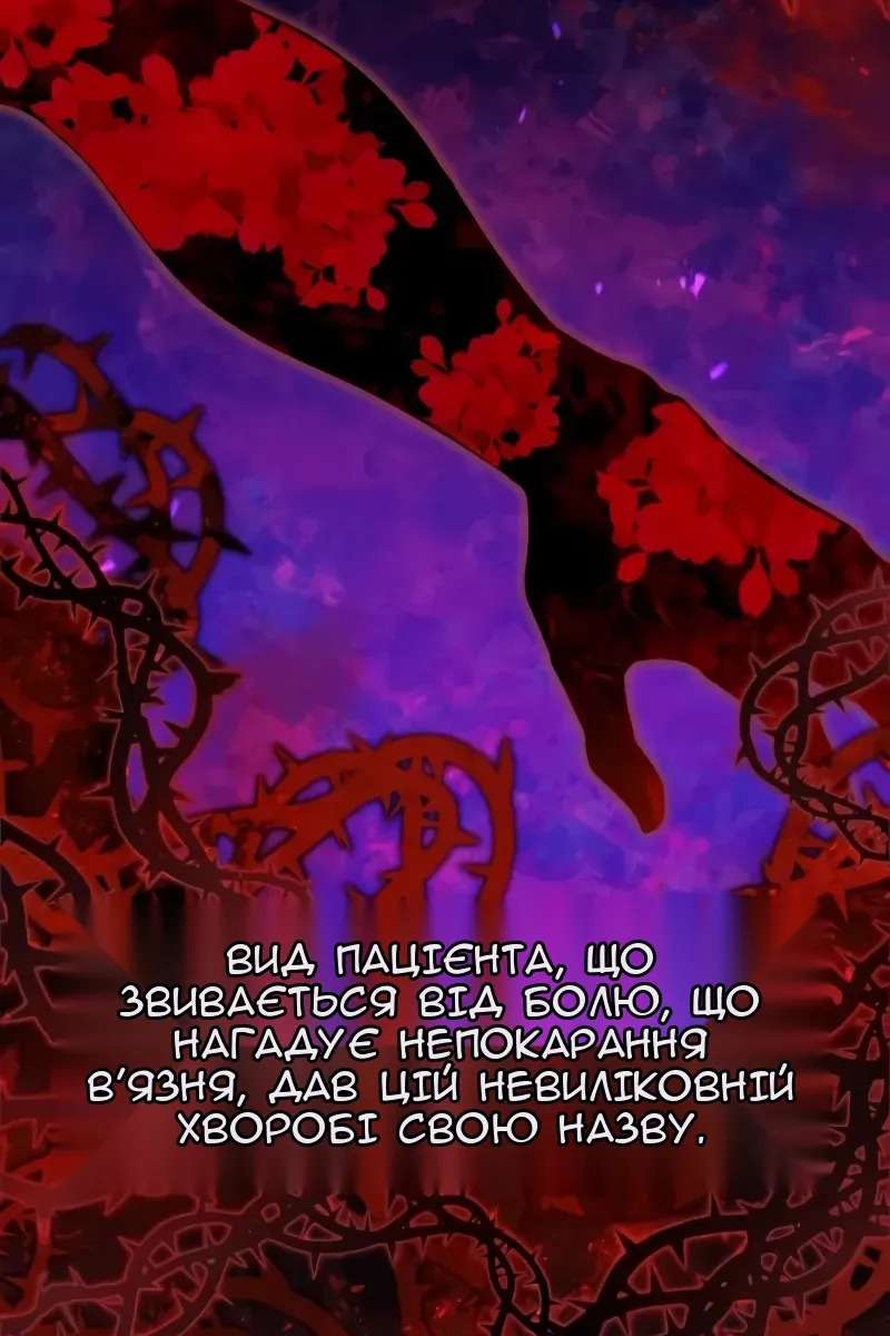 Сторінка 31