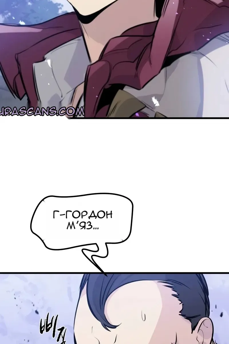 Сторінка 113