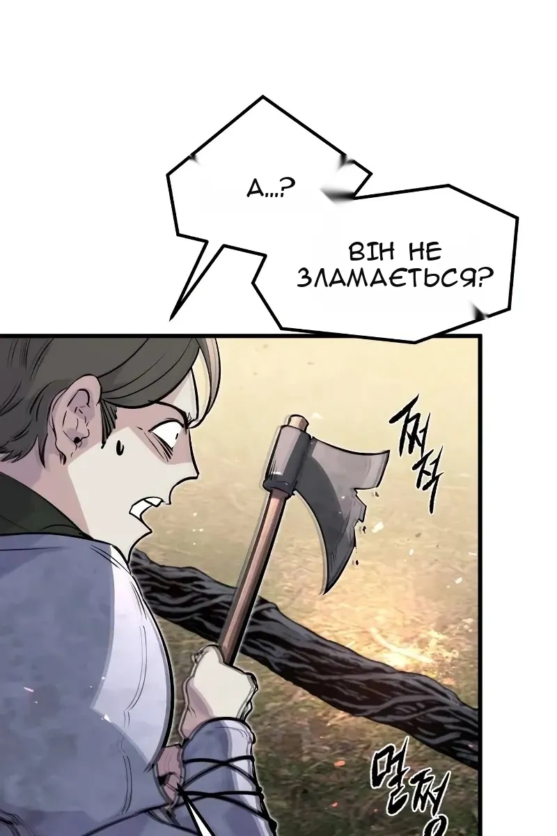Сторінка 17