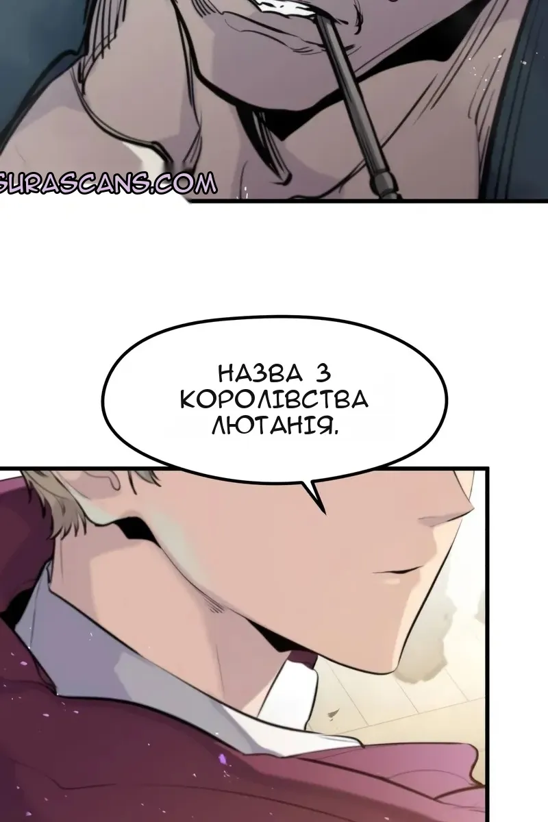 Сторінка 117