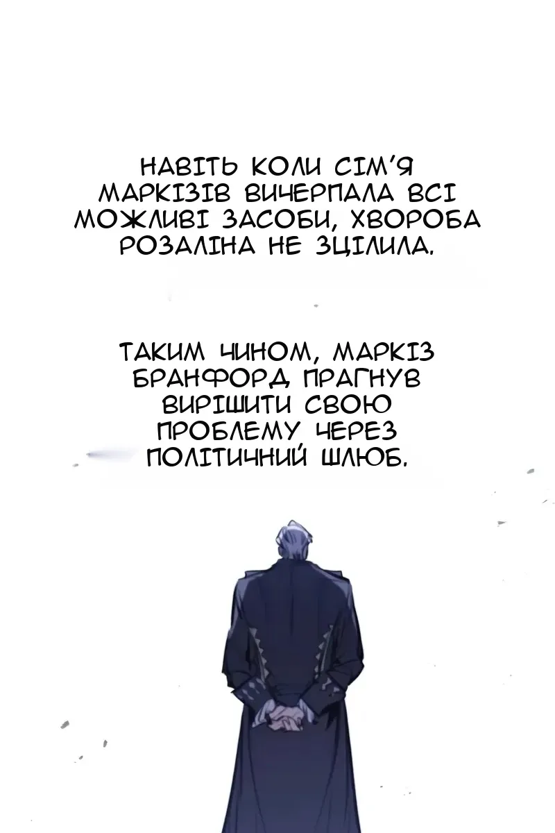 Сторінка 28