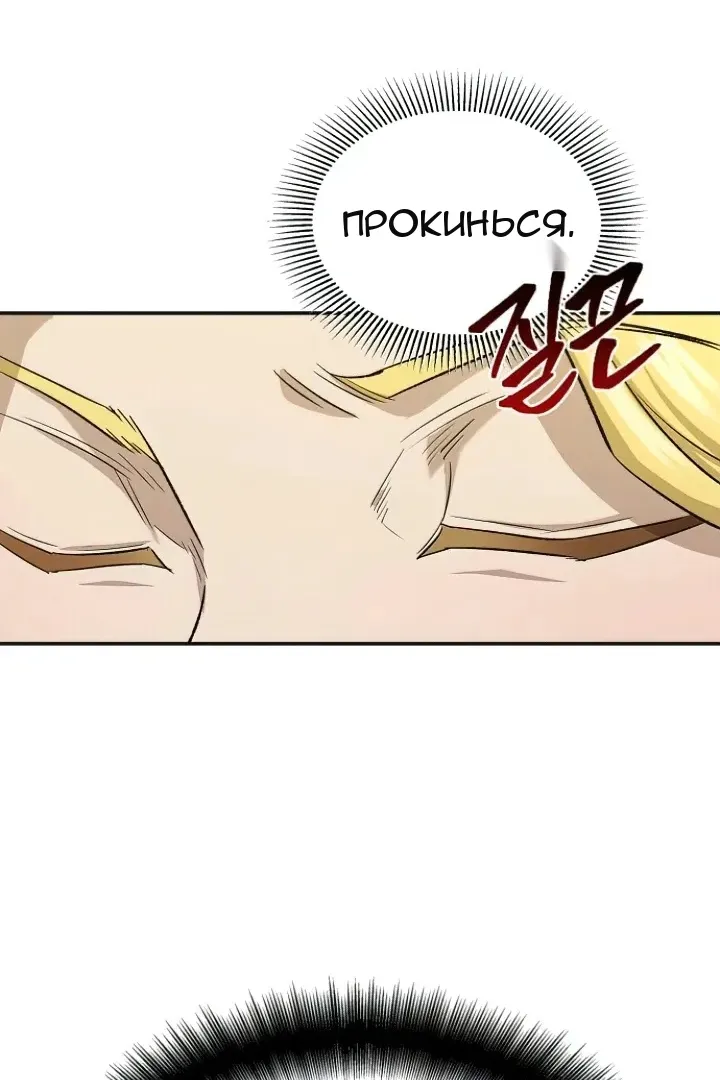 Сторінка 113