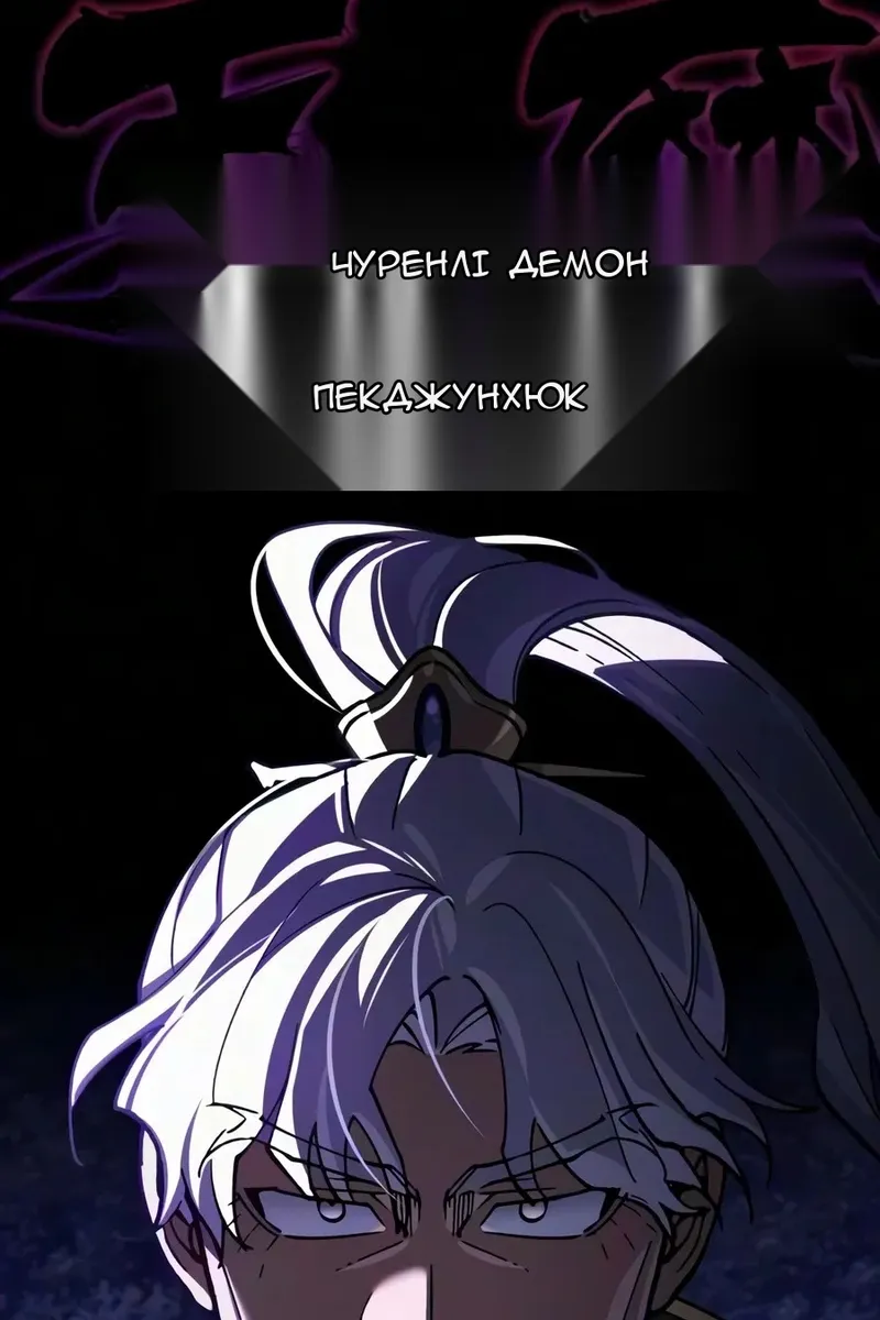 Сторінка 29