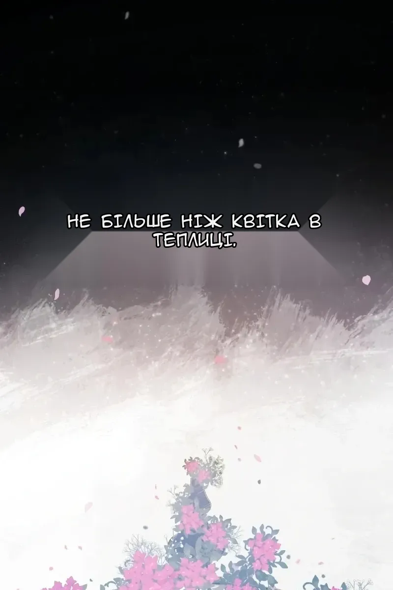 Сторінка 31