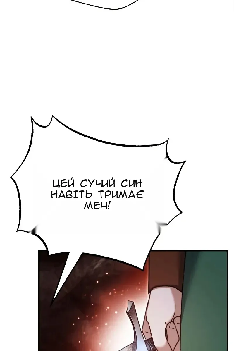 Сторінка 17