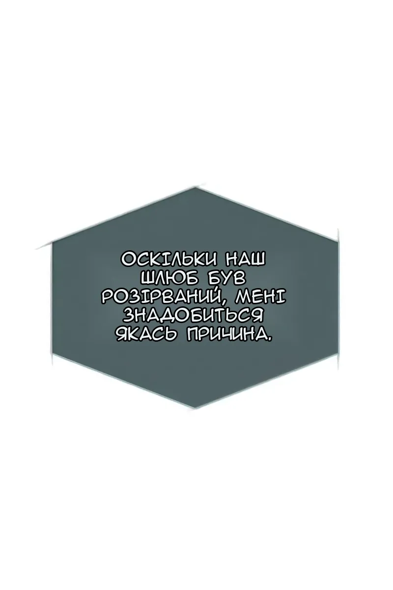 Сторінка 28