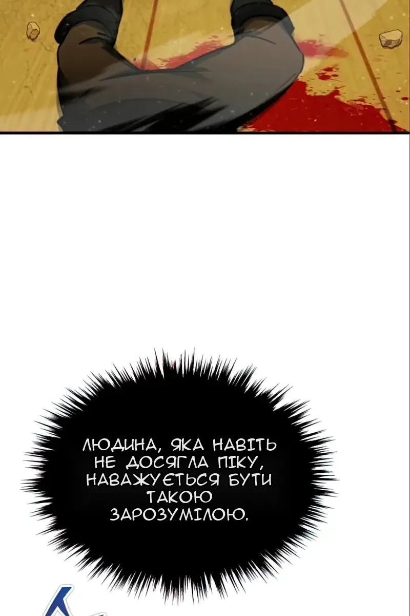 Сторінка 17