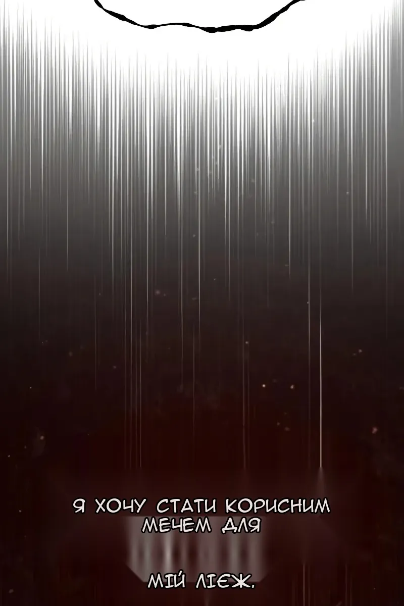 Сторінка 17