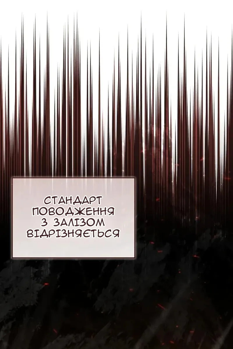 Сторінка 29