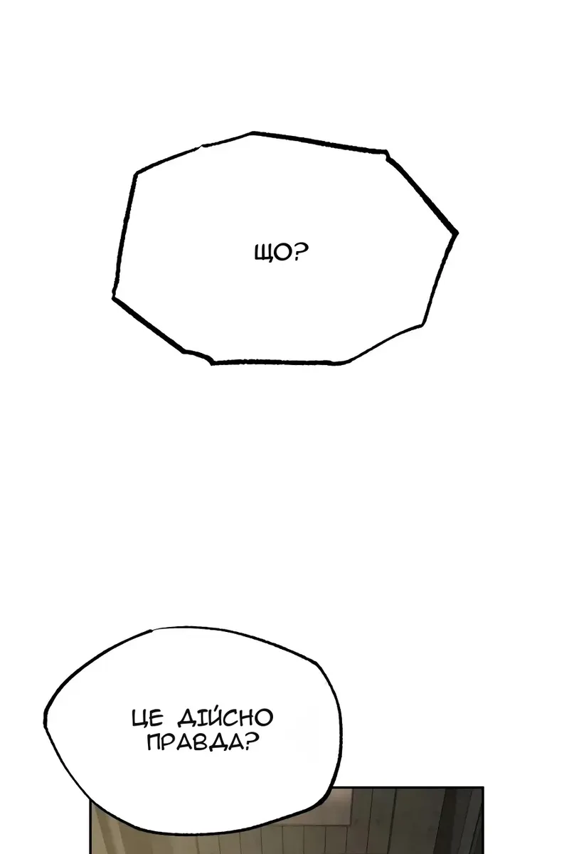 Сторінка 41