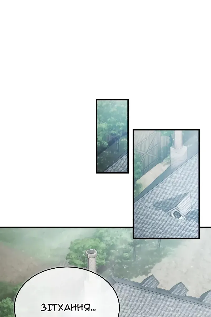 Сторінка 37